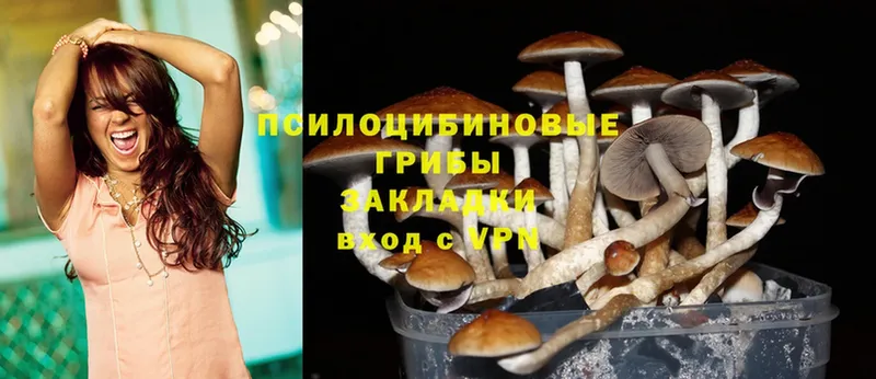 Галлюциногенные грибы Magic Shrooms  Зубцов 